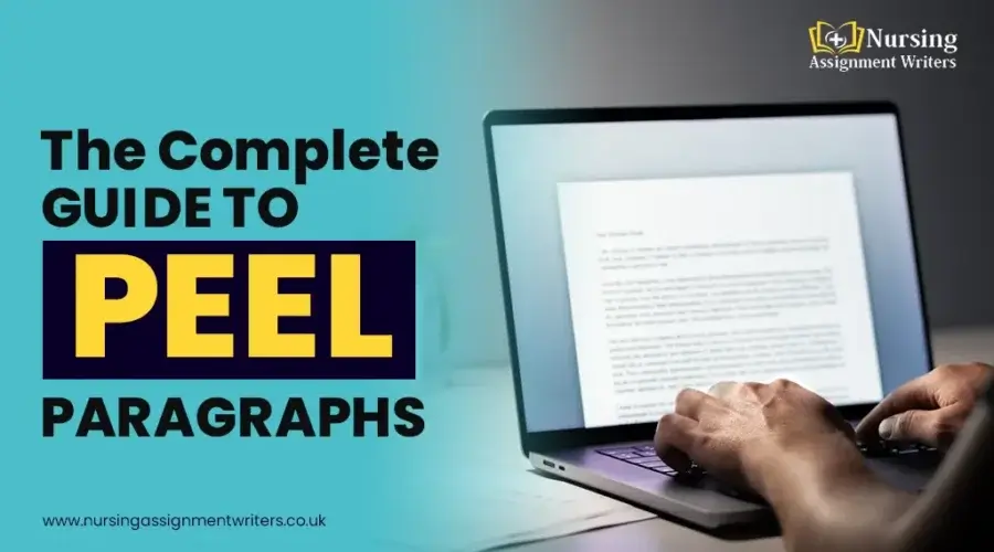 How to Write PEEL Paragraphs: Key Structure and Tips!