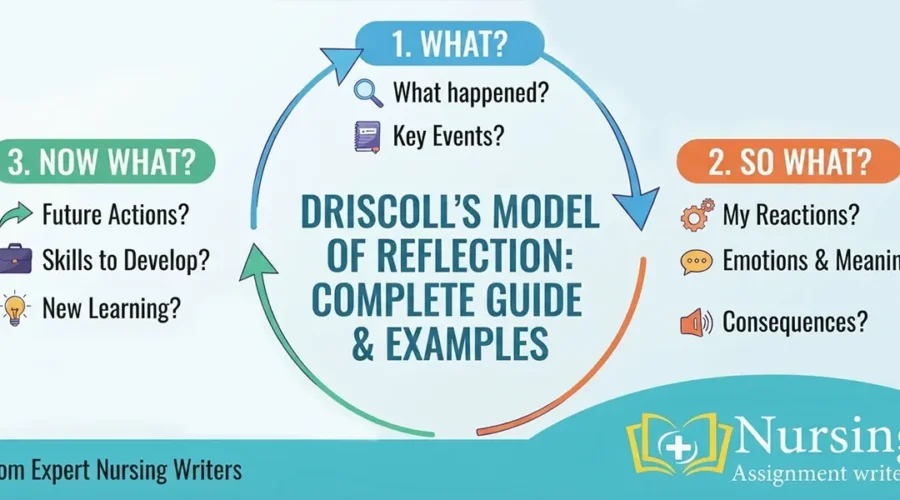 Driscoll’s Model of Reflection in Nursing: Complete Guide and Examples