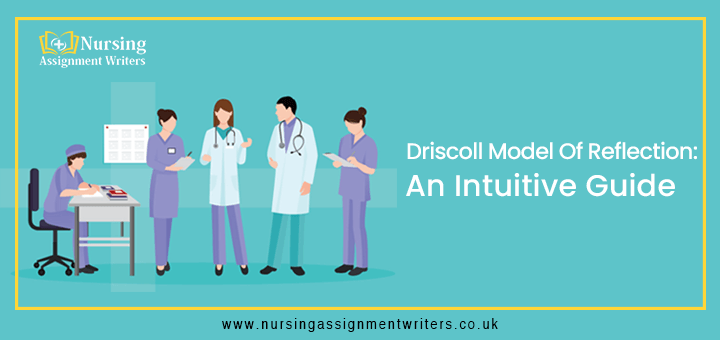 Driscoll Model of Reflection: An Intuitive Guide